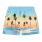 Preview: Molo Badeshorts Niko Sunrise Skate