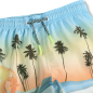 Preview: Molo Badeshorts Niko Sunrise Skate