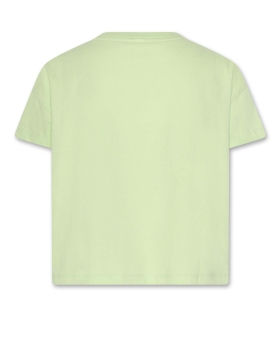 AO76 kenza t-shirt hibiscus light green