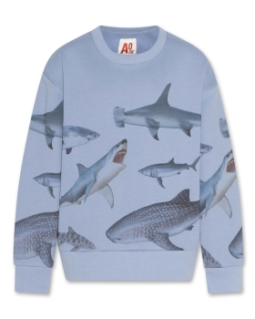 AO76 oscar sweater sharks light blue