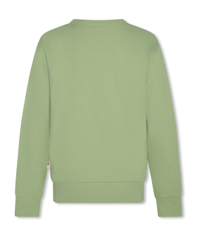 Preview: AO76 tom Sweatshirt freerider light green