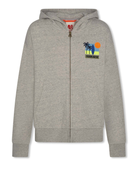 AO76 eldo hoodie zip palms grey melange