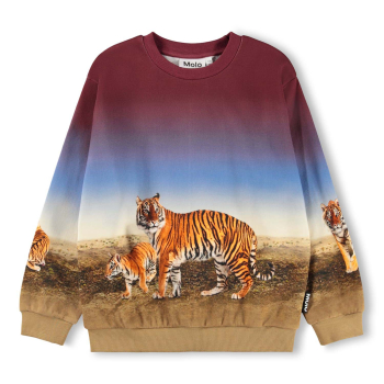 Molo Sweaters Bengal Tiger