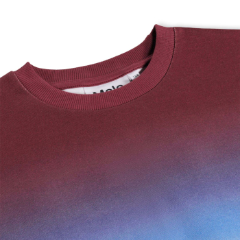 Preview: Molo Sweaters Bengal Tiger