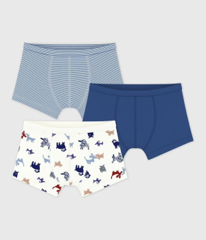 Petit Bateau Set Jungen-Boxershorts aus Baumwolle mit Hundemotiv
