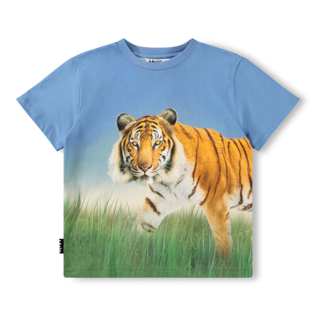 Molo T-shirts Tiger on Blue