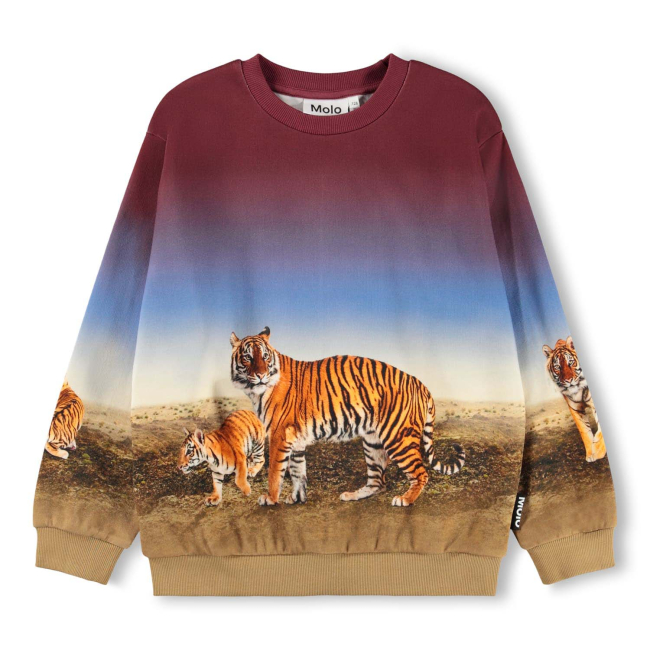 Molo Sweaters Bengal Tiger