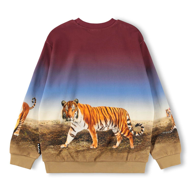 Molo Sweaters Bengal Tiger