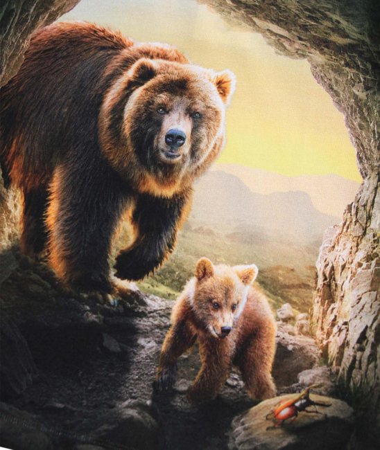 Molo T-shirts Long sleeves Bears in Cave