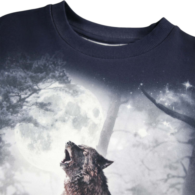 Molo Sweatshirt Moonlit Wolf-Print