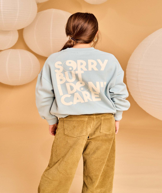 AO76 Sweatshirt sorry sky blue