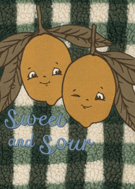 Konges Sløjd JODY Teddyjacke Green Check